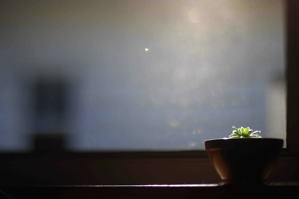 Calm Space Mini Diffuser