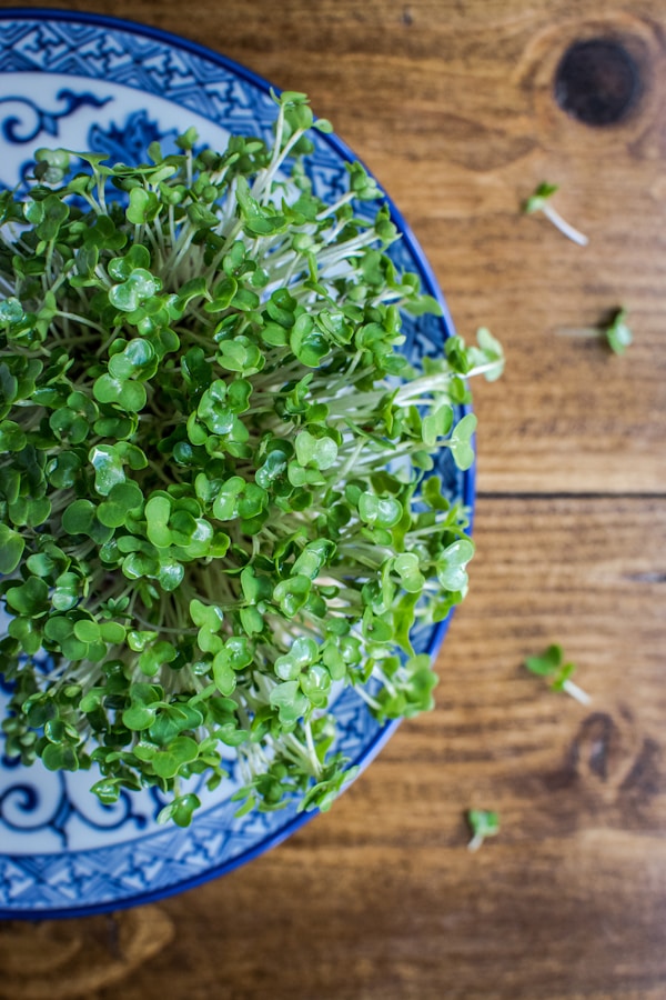 Tray of green leaves