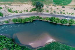aerial photography of road beside body of water surrounded with trees