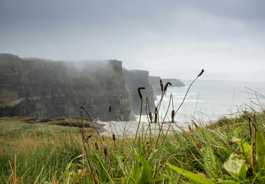 The Coast Between Us