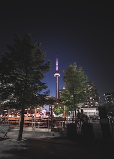 The image captures an urban night scene featuring the CN Tower illuminated with pink lights. The tower is framed by trees in the foreground which also partially obscure a well-lit outdoor seating area filled with people. Tall buildings with lit windows are visible in the background.