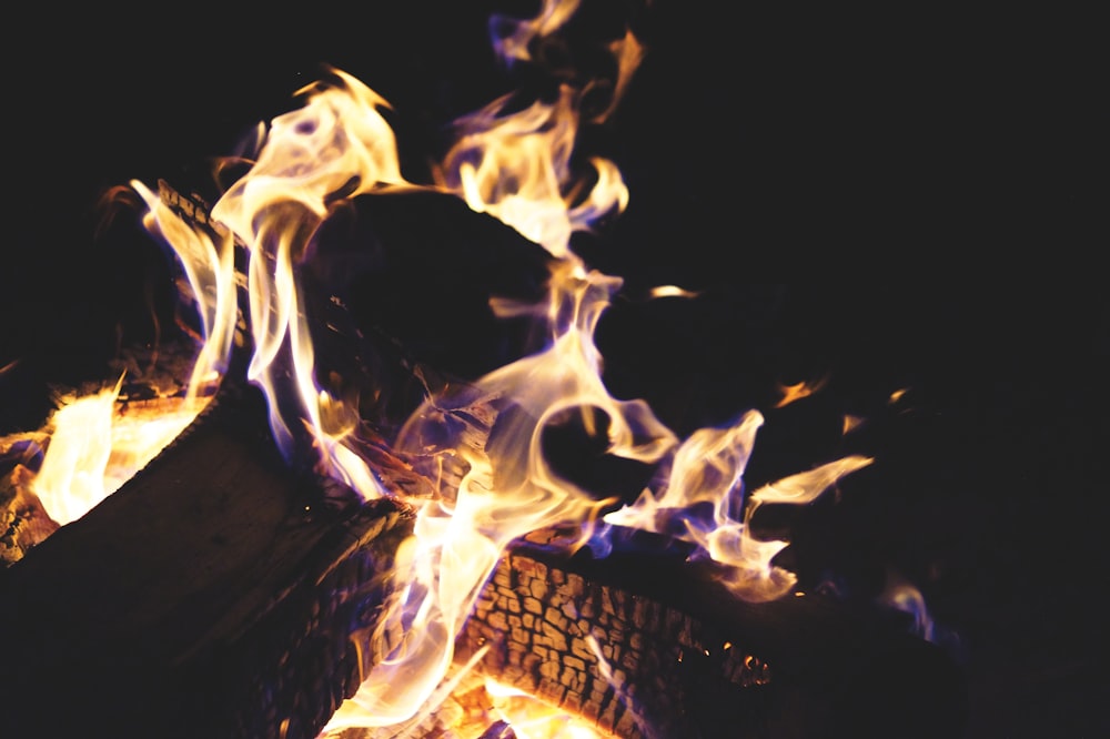 close up photo of burning wood