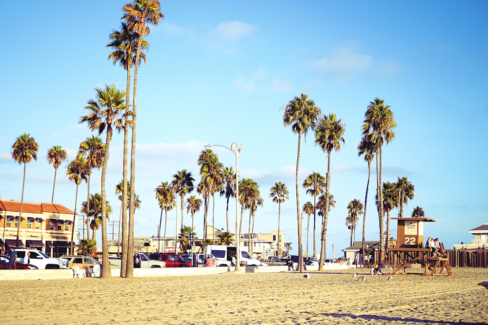 people on beach during daytime