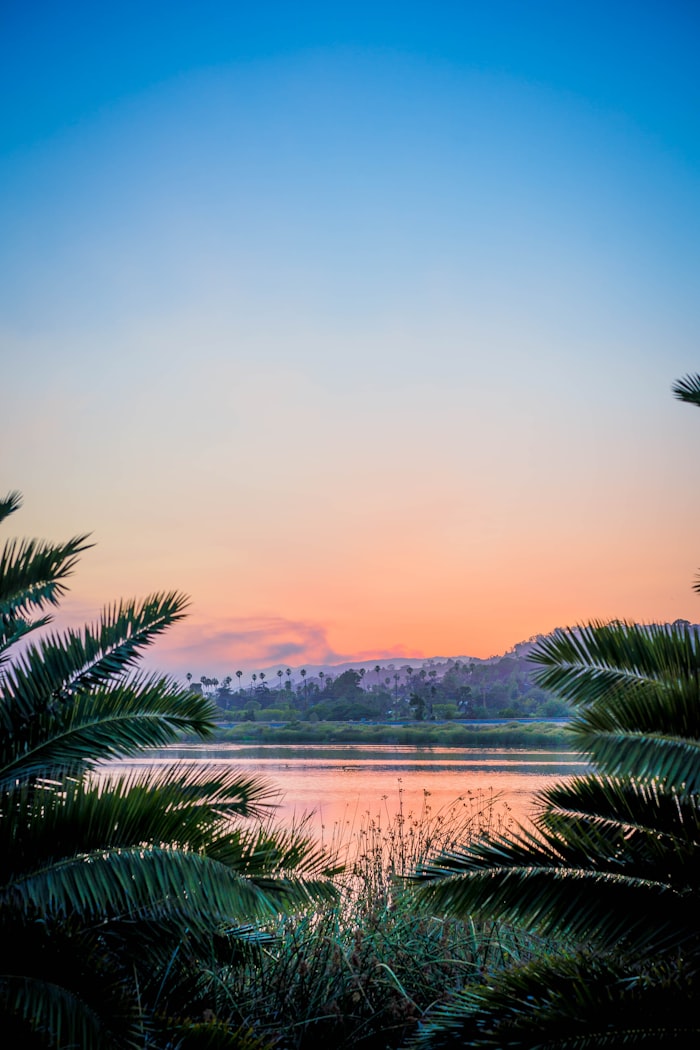 Peaceful lake fishing at sunrise