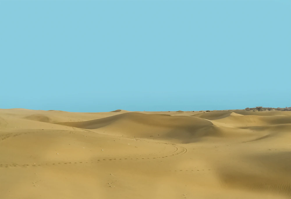 New Year under the desert stars at Jaisalmer