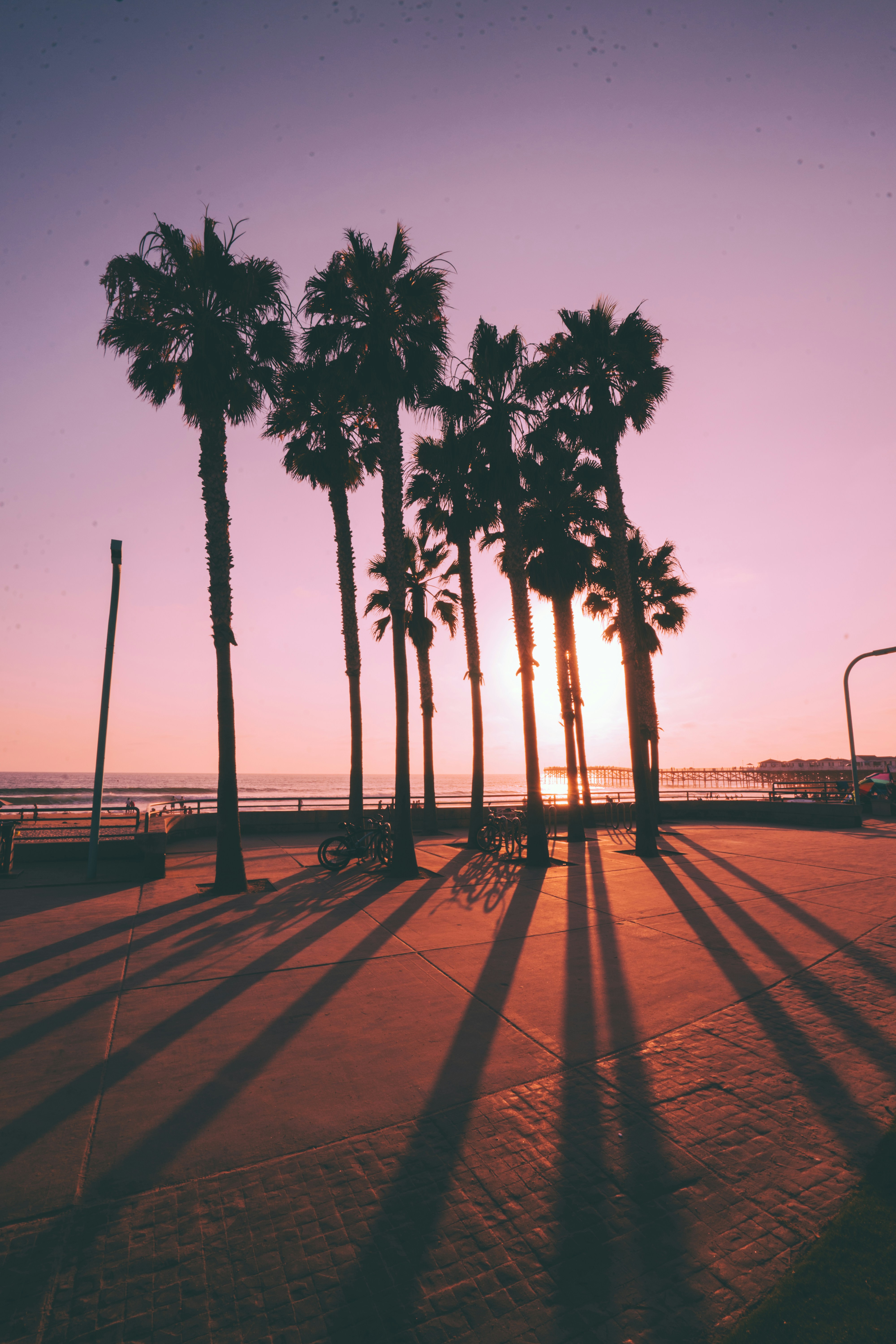 Palm trees along a San Diego beachfront boardwalk at sunset