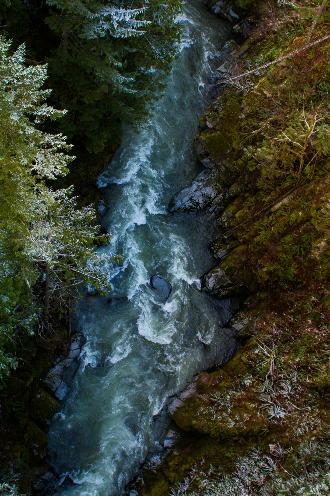 aerial photo of body of water during daytime