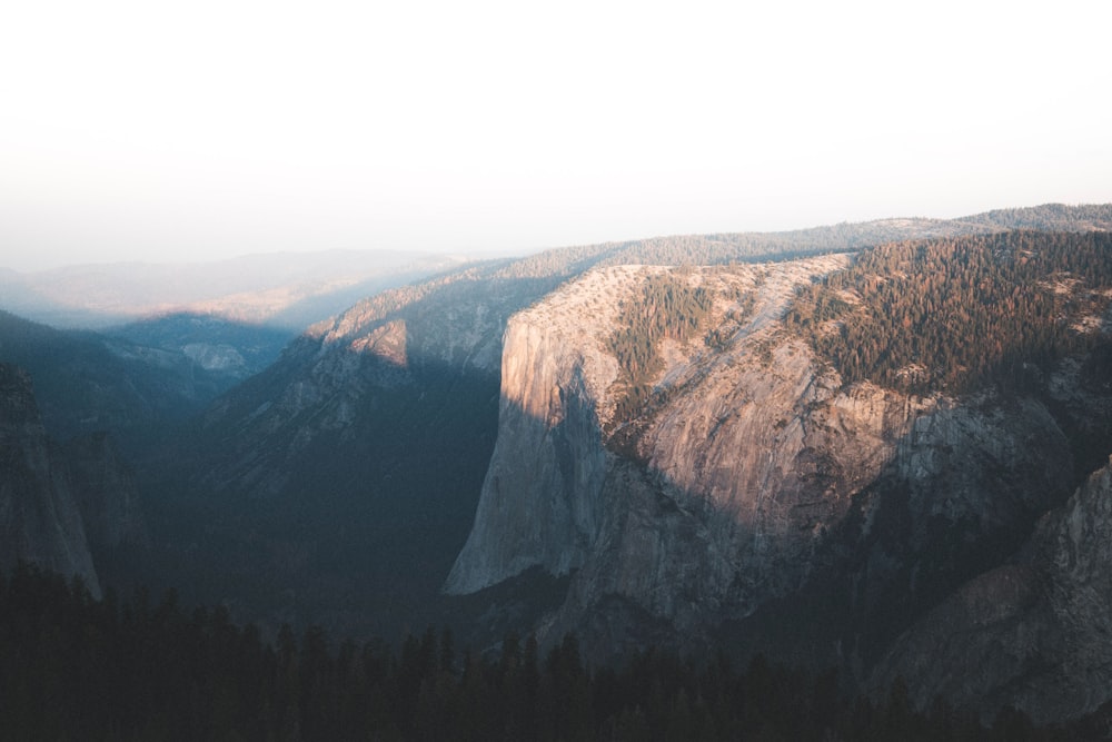 mountain cliff surrounded with trees