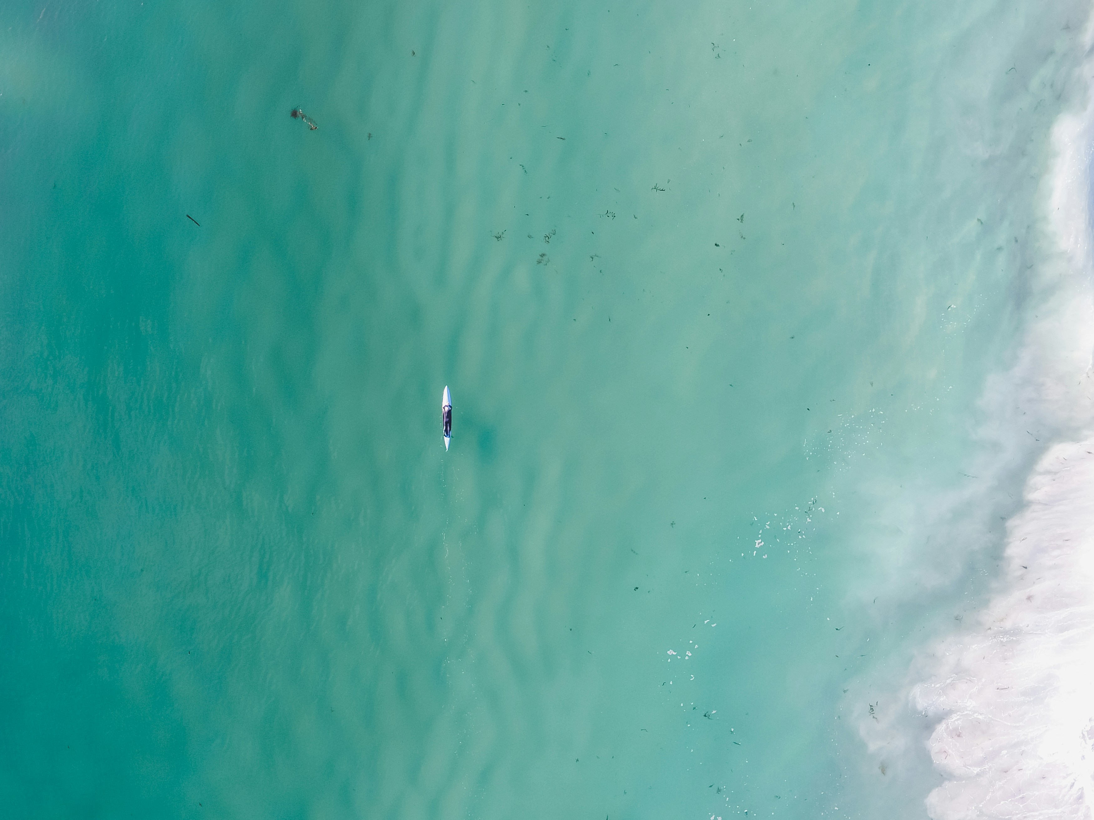 aerial photography of gray and black driftwood on body of water, Lone Surfer