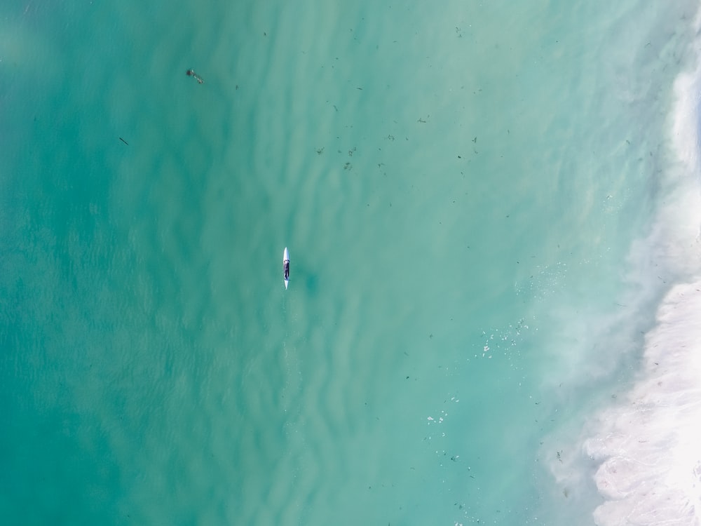 Luftaufnahme von grauem und schwarzem Treibholz auf einem Gewässer