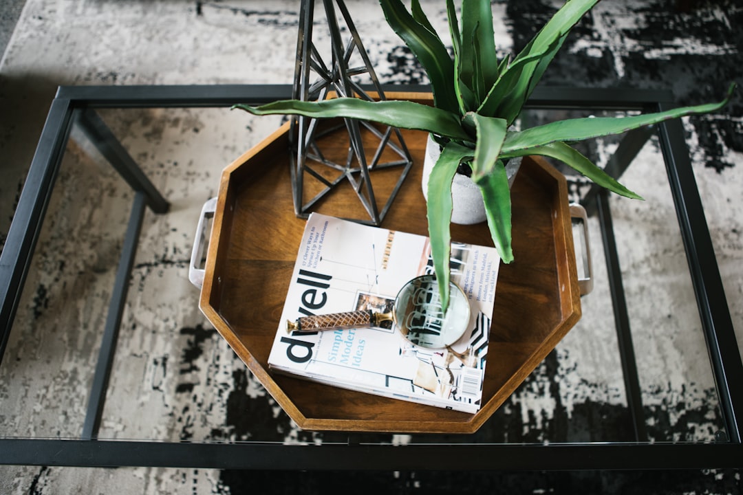 leafed plant in white pot on table