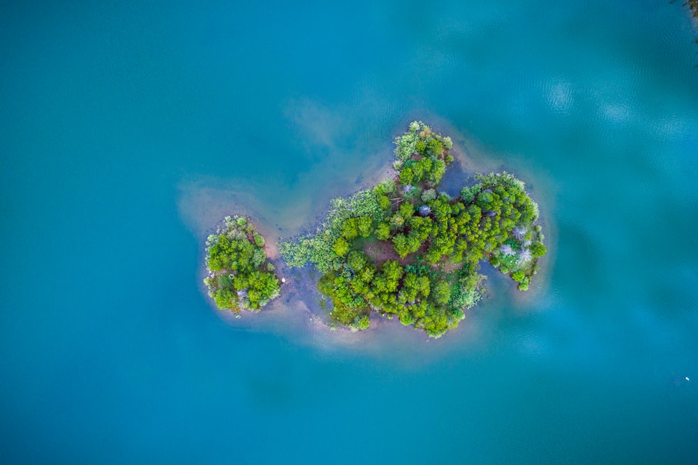 Ilha verde cercada por corpo de água