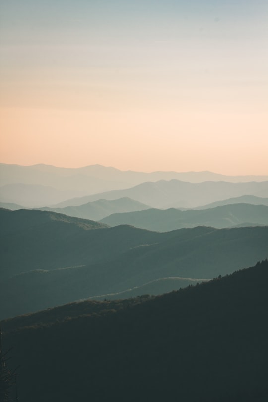 Great Smoky Mountains National Park things to do in Cataloochee