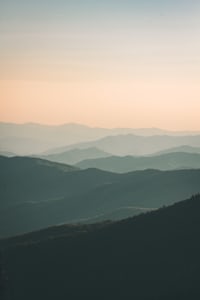 Vista 6