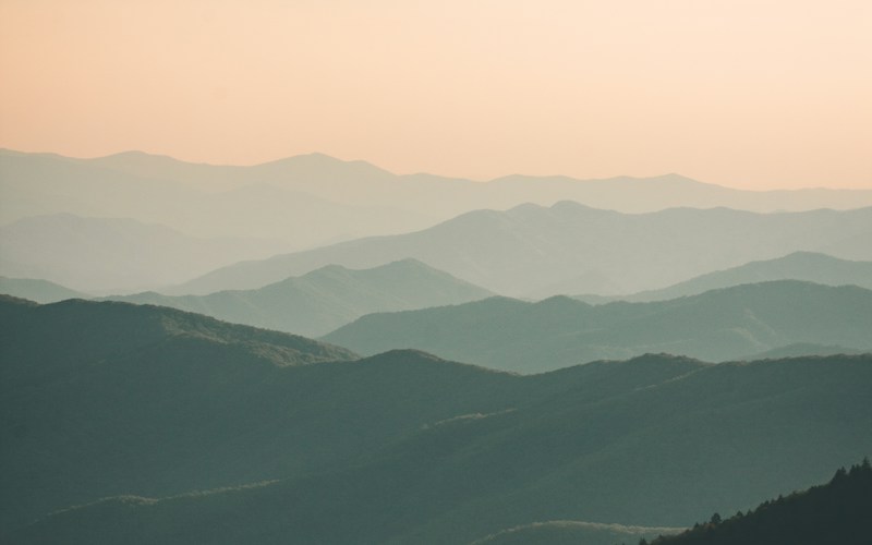 Bieszczady — Dzikie Karpaty