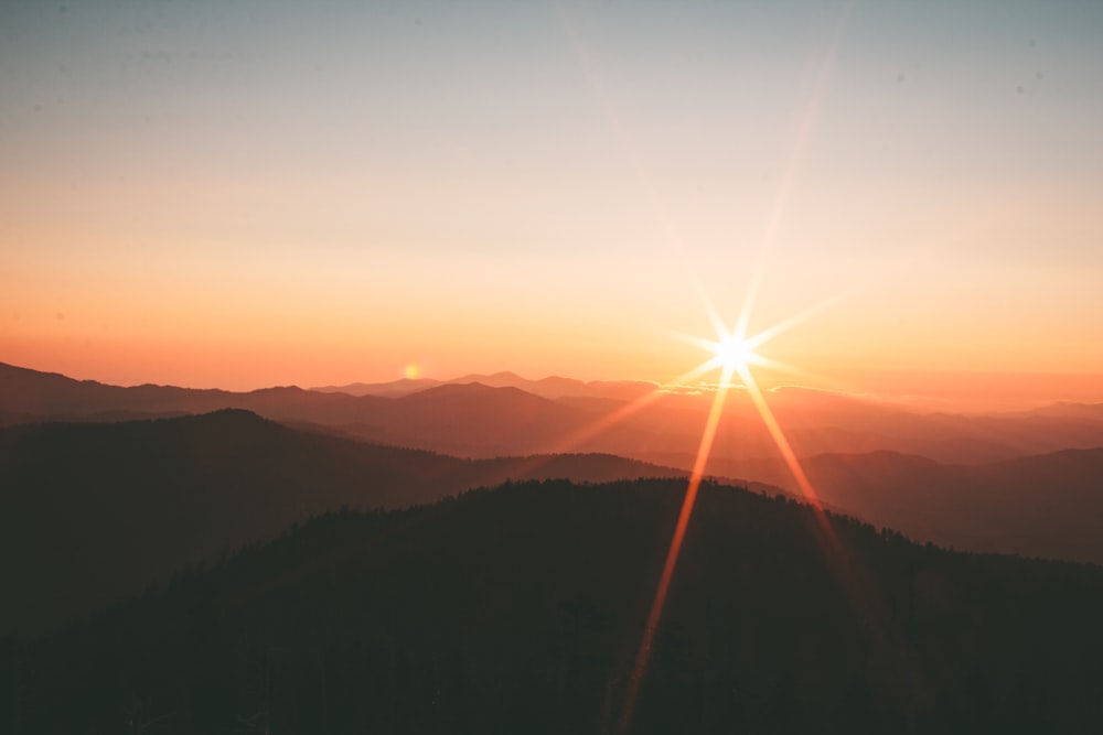 350+ Rising Sun Pictures [HD]  Download Free Images on Unsplash