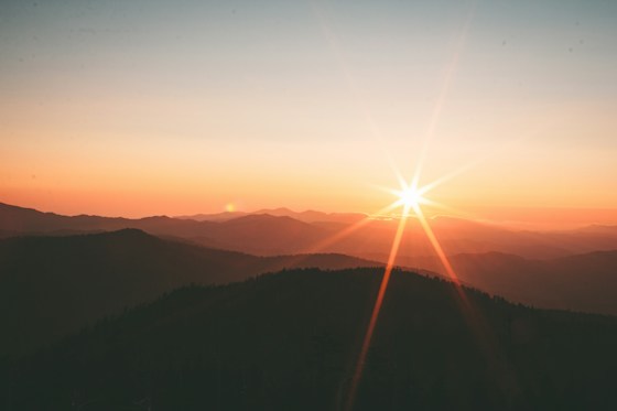 Above the tree line — photograph 1