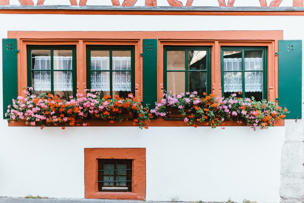 flowers on pots