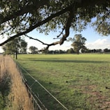 A serene landscape featuring a wire fence boundary.
