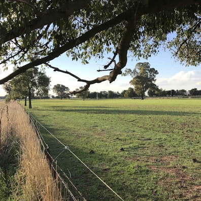 A serene landscape featuring a wire fence boundary.