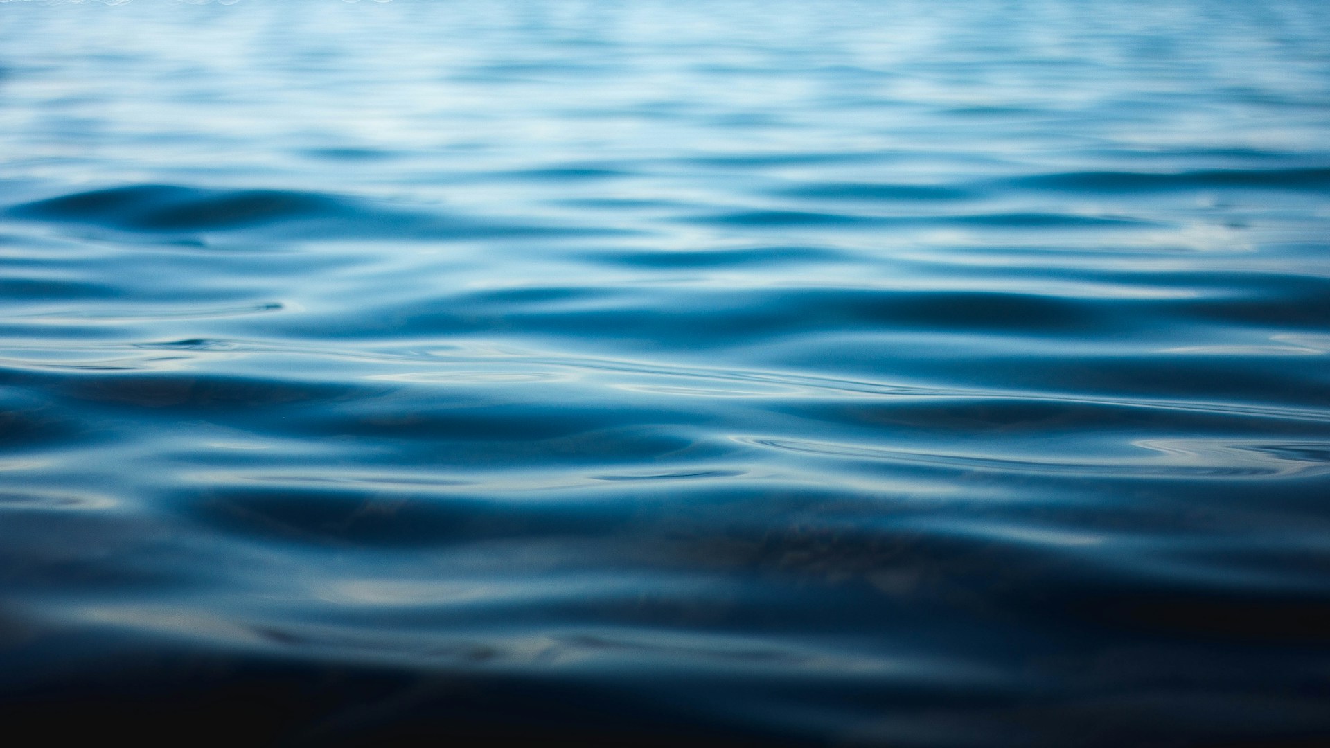 body of water