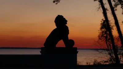 Silhouette of a lion walking along a ridge at dusk.