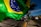 A large Brazilian flag is prominently displayed on a street, with a sunny sky in the background. There is a vendor walking along the sidewalk carrying more flags and other items. Cars are visible on the road, along with trees lining the street.