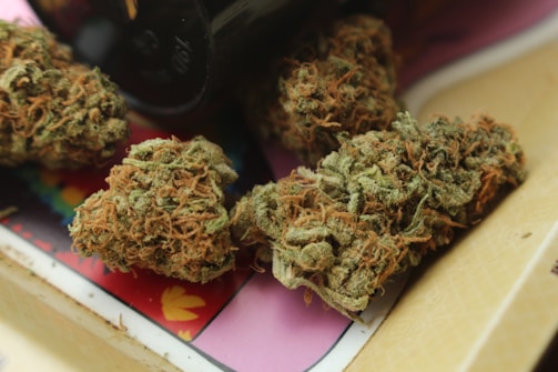 Several cannabis buds with a mix of green and orange hues are placed on a surface with a colorful and patterned background.