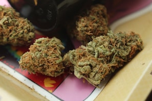 Several cannabis buds with a mix of green and orange hues are placed on a surface with a colorful and patterned background.