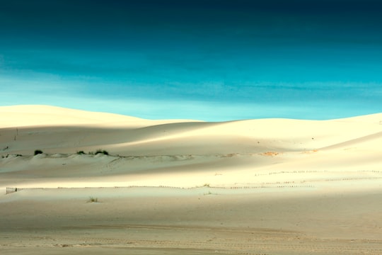 desert under blue skies in Duna de Bolonia Spain