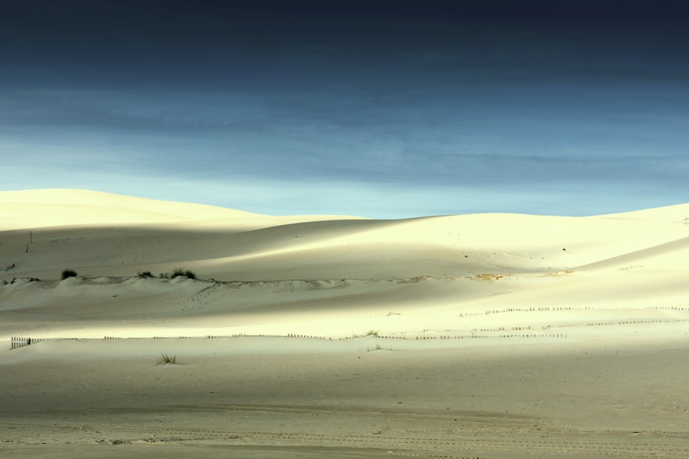 desert under blue skies