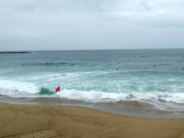 Ride the Waves: Local Knowledge Surf Report Plugin