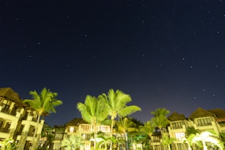 A nighttime view of resort buildings surrounded by tall palm trees, with a clear sky filled with stars overhead. The lights from the buildings create a warm glow, illuminating the lush greenery.