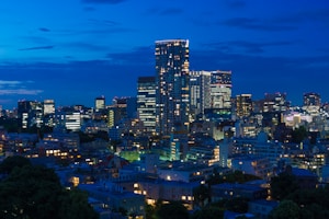 City Lights