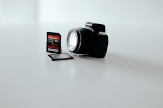 black and gray Canon DSLR camera with two SD card