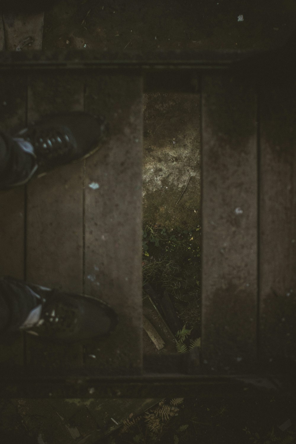 person standing of brown wooden bridge with missing plank