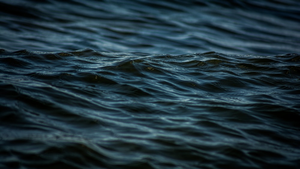 photography of bodies of water