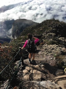 Hibiscus Trail Jacket