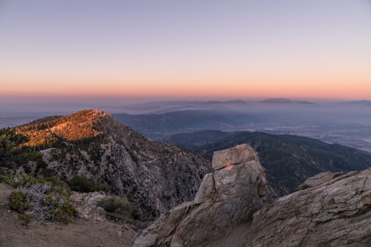 Cucamonga Peak things to do in Pearblossom