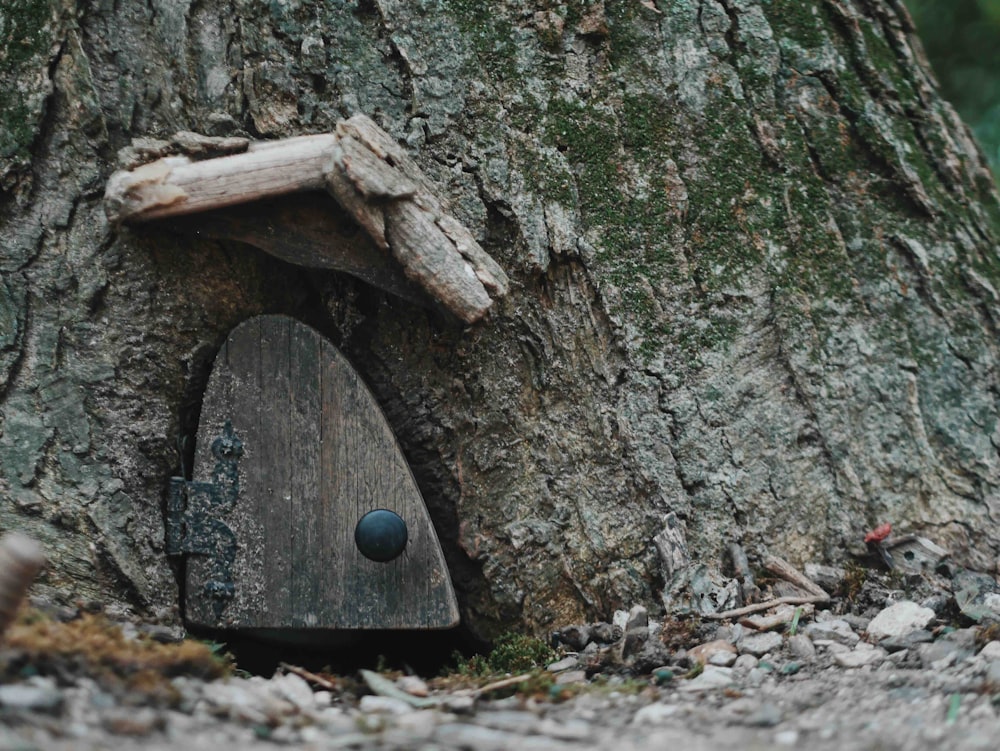 tronco d'albero in legno marrone