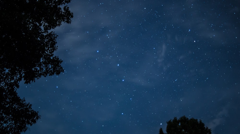 Foto de ángulo bajo de la noche estrellada