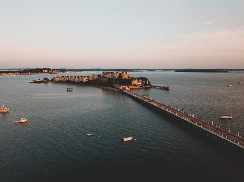 gray concrete bridge on body of water