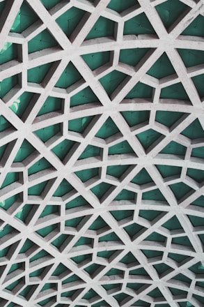 A meshwork of concrete support beams on a ceiling