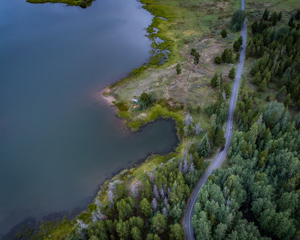 areal view of body of water and green trees