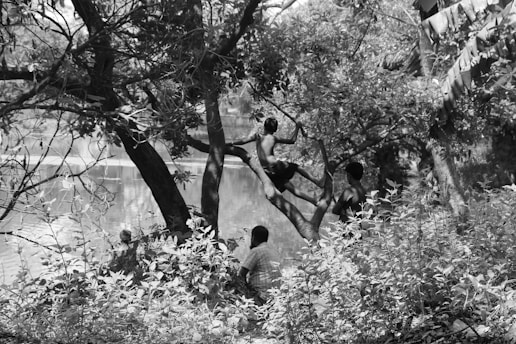 A group of children is playing in a lush, tree-filled area by a body of water. One child is climbing a tree, while others are seated or standing nearby. The dense foliage and branches create a canopy overhead, adding to the natural, serene environment.