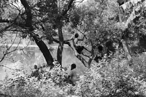 Children learning in a vibrant outdoor classroom surrounded by greenery