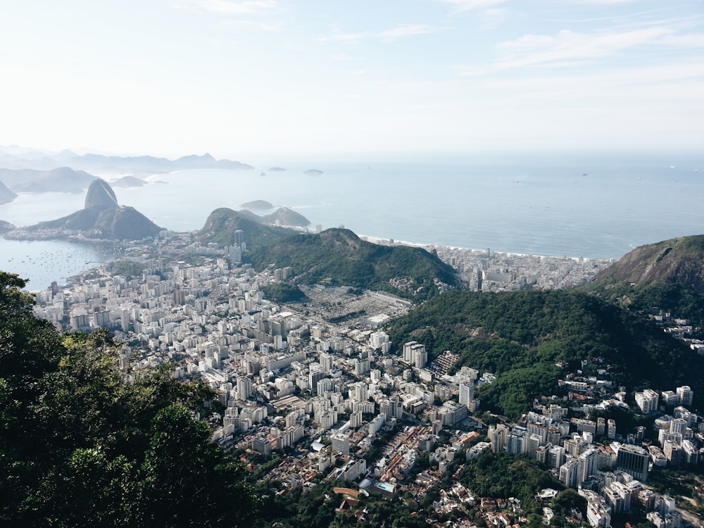 a view of a city from a high point of view