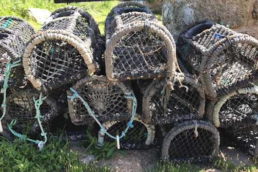 A stack of black and weathered fishing traps, possibly lobster pots, arranged outdoors on grassy terrain. The traps are constructed with durable netting and have various ropes and plastic components attached.