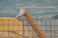 Stacks of raw materials like corn, soybean, and canola ready for processing at the feed mill.