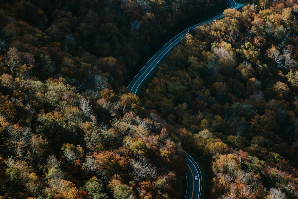 foto aérea da estrada sinuosa